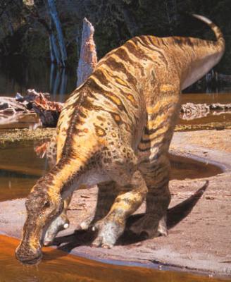 Duck billed Dinosaur