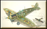 Spitfire cutaway