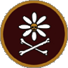 Patch