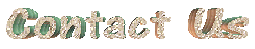 Loading Contact Us Banner