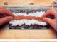 sushi roll 3