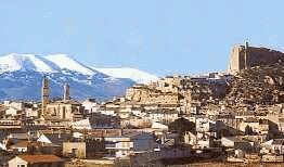 Fotos actuales de Borja