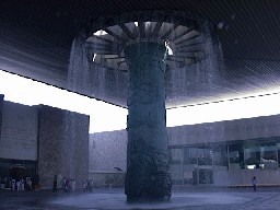 Antropolog&iacute;a