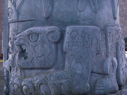 Antropolog&iacute;a