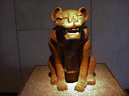 Antropolog&iacute;a