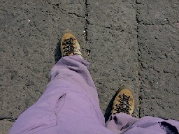 Callejeando