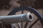 Manassas