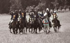 manassas