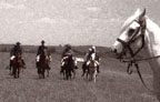 Manassas