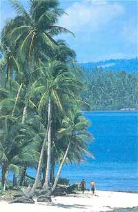 ISLAND PARADISE