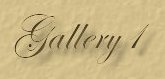Visit page 1 of the Gallery