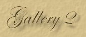 Visit page 2 of the Gallery