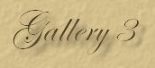 Visit page 3 of the Gallery