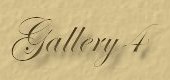 Visit page 4 of the Gallery