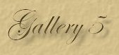 Visit page 5 of the Gallery