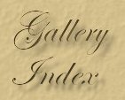 Back to the Gallery Index