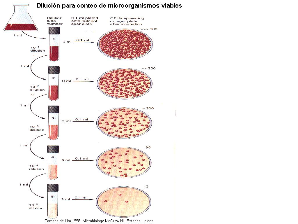 CALIDAD MICROBIOLOGICA LECHE calidad microbiologica leche: