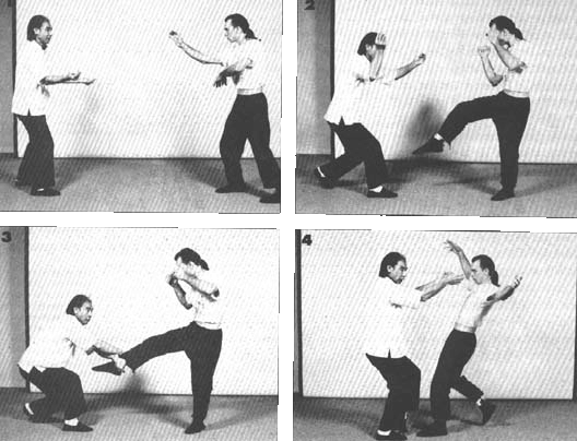 sequence6.GIF - 158859 Bytes