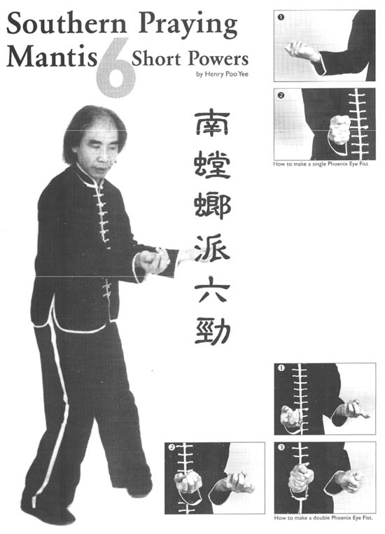 wkfwin95pic1.jpg