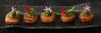 appetizers