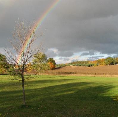A rainbow on the farm