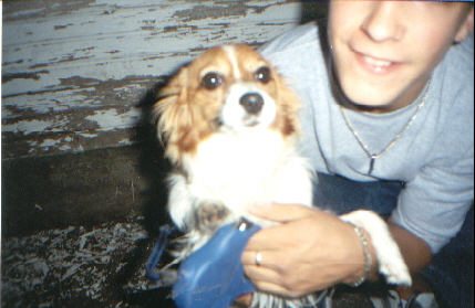 GEORGY POOCHES!!!
