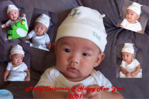 Xmas card2001.jpg (47926 bytes)