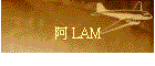 �� LAM