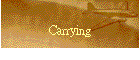 Carrying