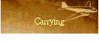 Carrying