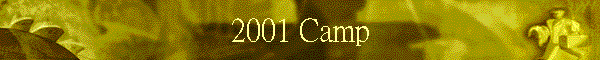 2001 Camp