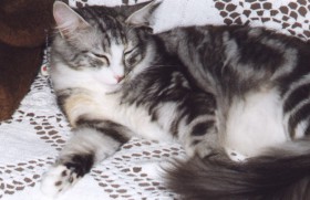 Fiona2.jpg (17912 Byte)