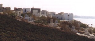 Mahdia2.jpg (10817 Byte)