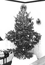 my very first christmas tree