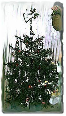 our first christmas tree, 1998