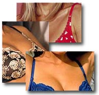 victoria's secret