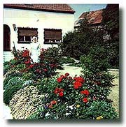 my grandmother's house