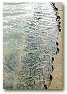 late winter beach