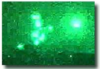 in spite of myself, i love the color of night vision green