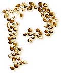p is for popcorn