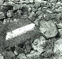 pavement on rocks