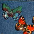 butterfly pins, a present from my birthday trip to the zoo