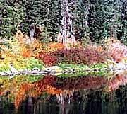 colourful leaves and water -- what else do you need?