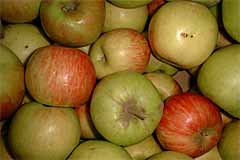  apples 