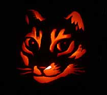 the cat pumpkin, much less evil looking than its real life counterpart, peter parker  