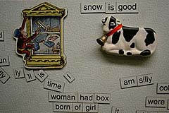  my refrigerator is a magnetic haven 