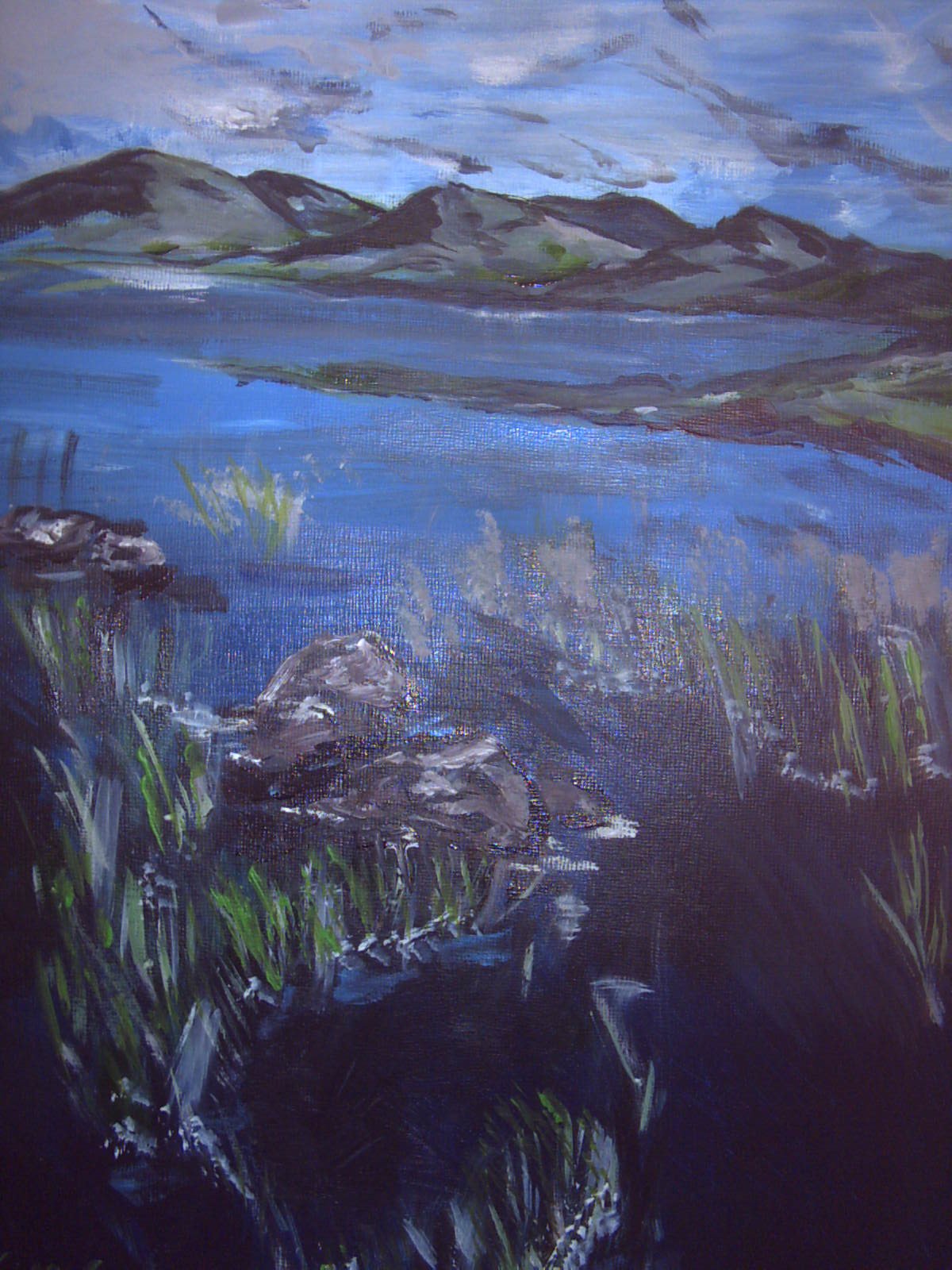 View my landscapes