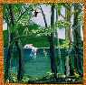 Coastal Rainforest Collage