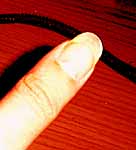  a perfect index fingernail 