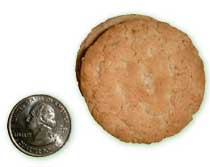  almost the size and price of a quarter 
